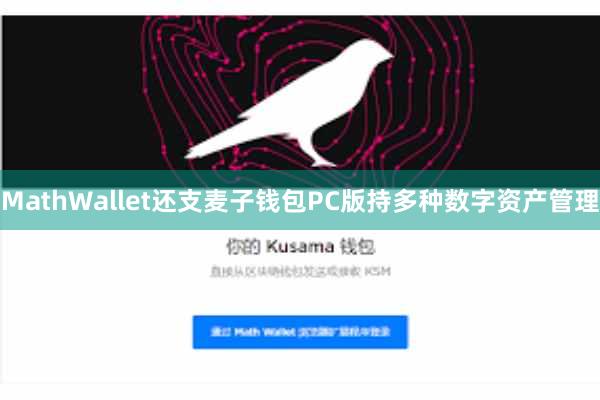 MathWallet还支麦子钱包PC版持多种数字资产管理